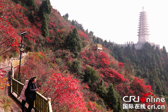 已過審【行遊巴渝 圖文】重慶巫山縣文峰景區通過4A級景區驗收
