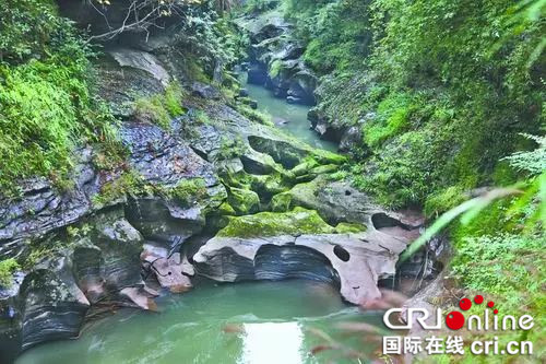 已過審【科教 標題摘要】重慶大學教授野外考察發現絕美龍吟雕岩谷
