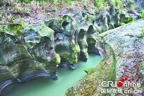 已過審【科教 標題摘要】重慶大學教授野外考察發現絕美龍吟雕岩谷