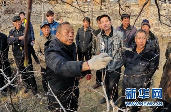 中央組織部追授李保國“全國優秀共産黨員”稱號