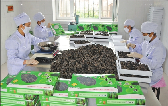 【龍江要聞】大興安嶺新時代迸發轉型發展新活力