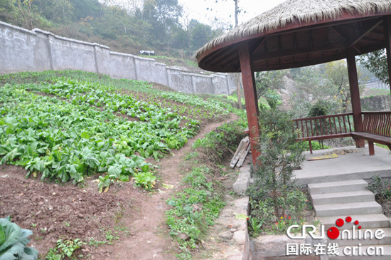 已過審【區縣聯動】綦江營盤山小學打造開心菜園 培養學生愛農情商【區縣聯動列表】綦江營盤山小學造菜園培養學生勞動樂趣