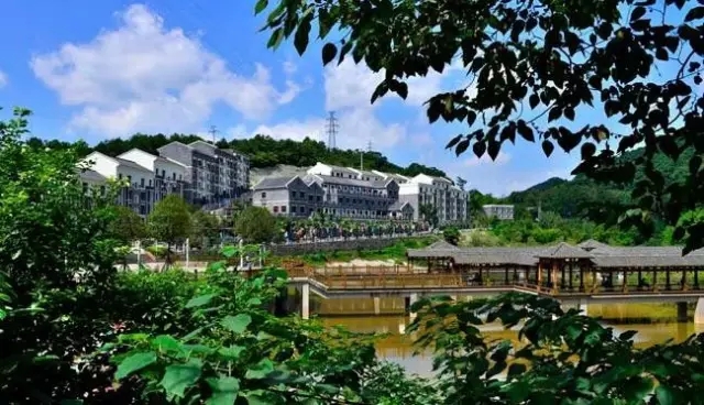 【焦點圖】元旦去哪?這幾條鄉村旅遊路線魅力無限