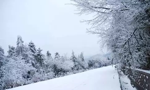 【環保視點專題　綠色美食　圖文摘要】聽説這些美食與雪景很般配！