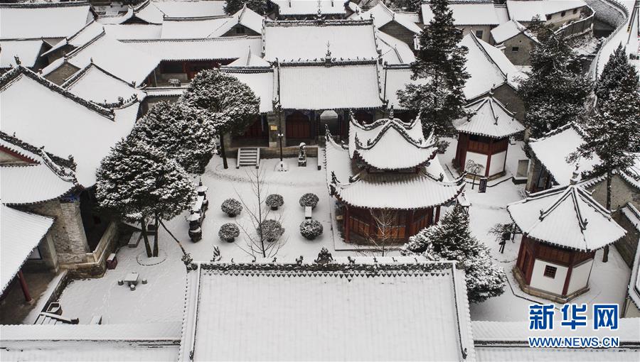 玉樹瓊枝秦嶺紫柏山