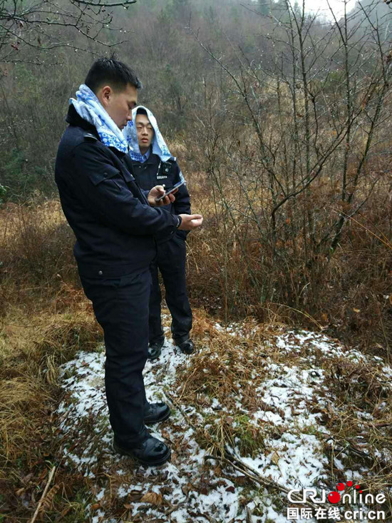 已過審【法制安全】雨雪交加 巫溪民警大山中找回走失羊群和老人