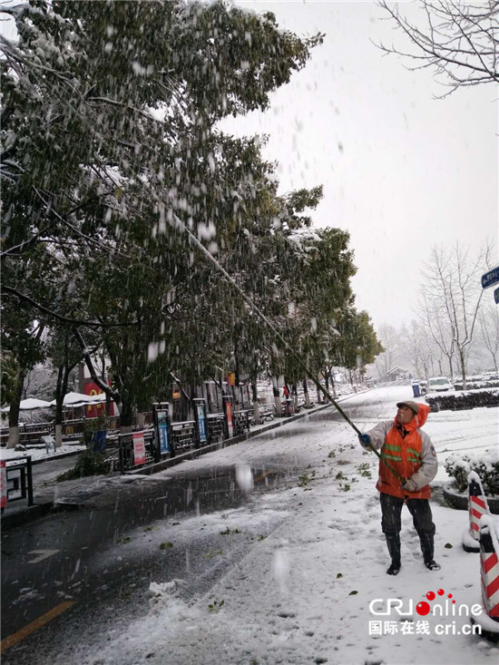 （已過審 供稿 旅遊 三吳大地南京）鍾山風景區值守人員雪夜堅守保護古樹活化石