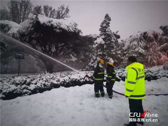 （已過審 供稿 旅遊 三吳大地南京）鍾山風景區值守人員雪夜堅守保護古樹活化石