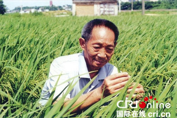 《加油！向未來》本週日首播 獲袁隆平支持