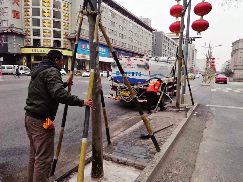 【焦點圖+移動輪播圖】為修地鐵國槐整體遷移 和平路時隔六年栽上法桐