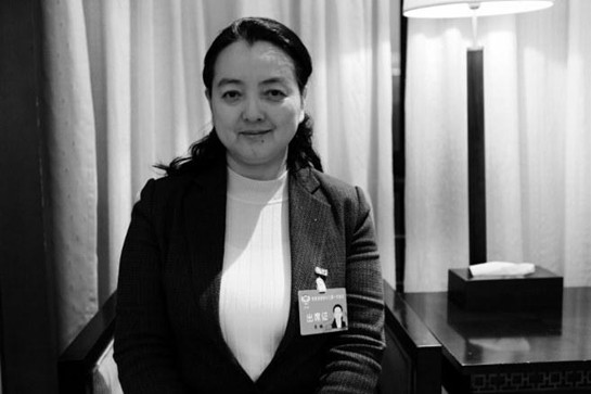 政協委員李瑛： 將陜西打造成世界一流旅遊目的地_fororder_c2bdeb1afe3bcaa5d66f6f8ac0fd7a79_img_41_566_159_106_副本