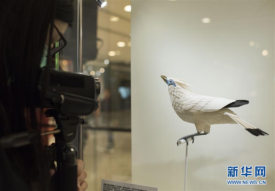 “鳥語花香：紙雕藝術展”將在香港舉行