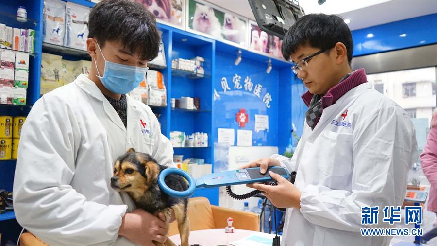 江西南昌：首設犬只領養窗口