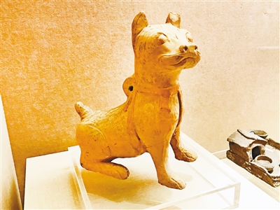 【文化 標題摘要】2000年前的狗圈啥樣？狗年來了去看狗博物展