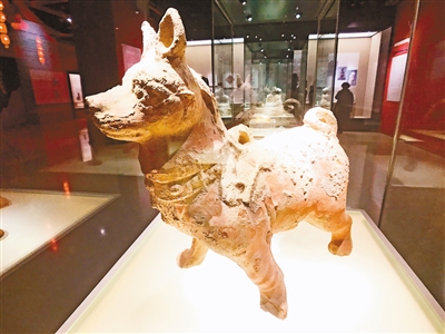 【文化 標題摘要】2000年前的狗圈啥樣？狗年來了去看狗博物展