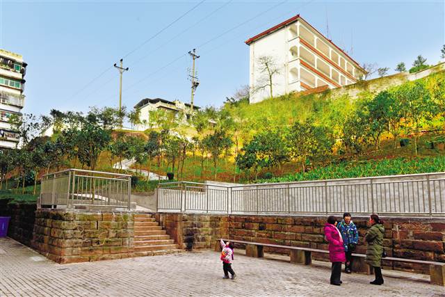 【區縣聯動】【渝北】渝北區實施“增綠添園”工程 交出綠色答卷【區縣聯動】渝北區實施“增綠添園”工程