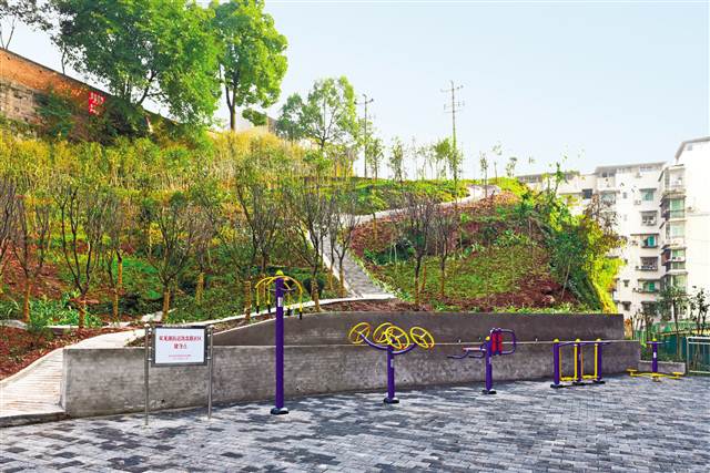 【區縣聯動】【渝北】渝北區實施“增綠添園”工程 交出綠色答卷【區縣聯動】渝北區實施“增綠添園”工程