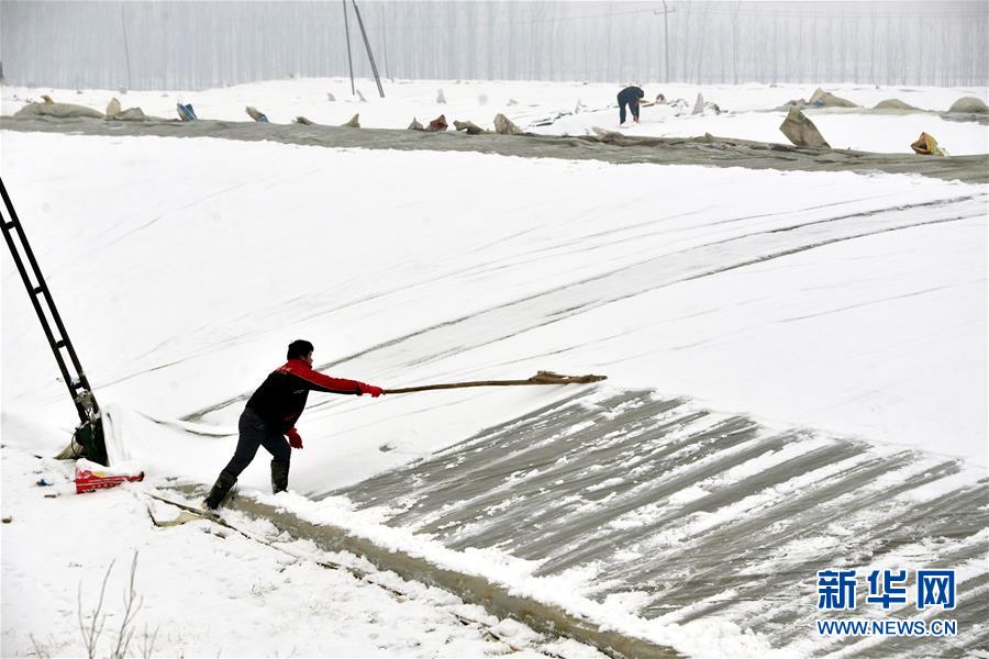 山東多地迎來大面積降雪