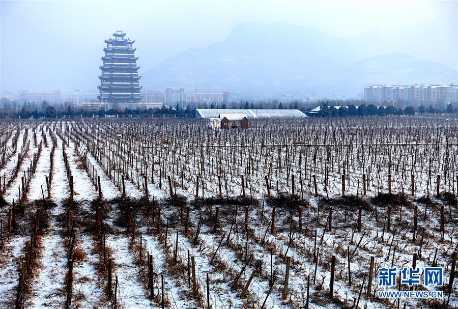 山東多地迎來大面積降雪