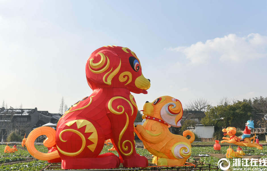 福犬花燈 烏鎮賀春