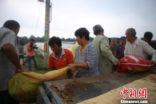 河北衡水多條河道面臨行洪 啟動防汛應急響應