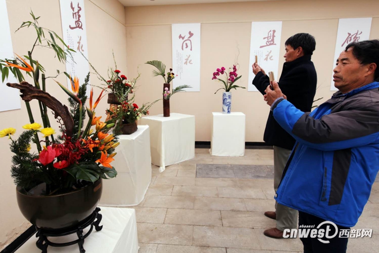 【民生】西安新春十大花市活動啟幕 推出賞花小程式