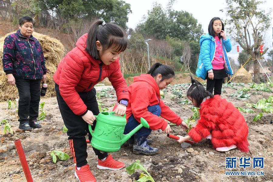 福州12座生態公園同時開園
