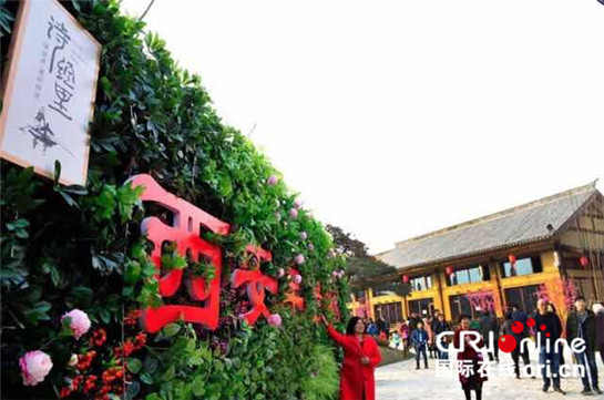 大年初二品年味 西鹹新區鬧新春_fororder_西鹹新區3