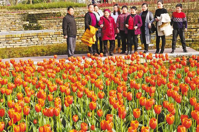 假日第五天 重慶都市旅遊和古鎮旅遊人氣旺