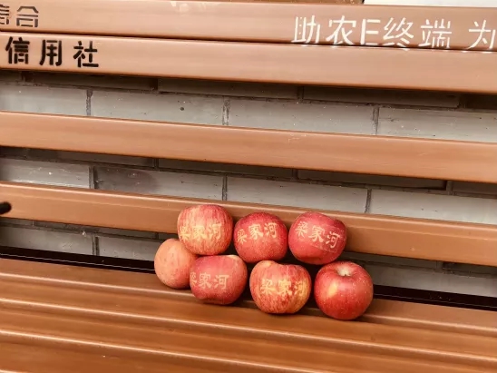【三秦大地 延安】日子好著嘞！總書記拍著他的肩膀説“你要發了”