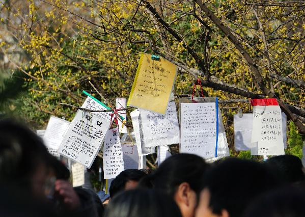 【焦點圖 顯示圖在稿件下方+移動輪播圖 顯示圖在稿件下方】春節過後革命公園相親火爆 綠化帶上挂滿徵婚告示