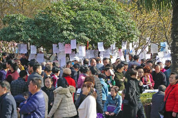 【焦點圖 顯示圖在稿件下方+移動輪播圖 顯示圖在稿件下方】春節過後革命公園相親火爆 綠化帶上挂滿徵婚告示
