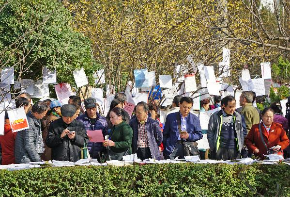 【焦點圖 顯示圖在稿件下方+移動輪播圖 顯示圖在稿件下方】春節過後革命公園相親火爆 綠化帶上挂滿徵婚告示