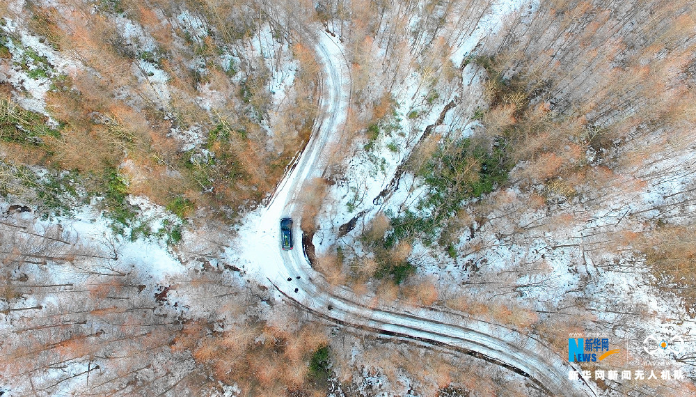 【渝情渝景】重慶貓兒背 冬季枯木遇上初春白雪