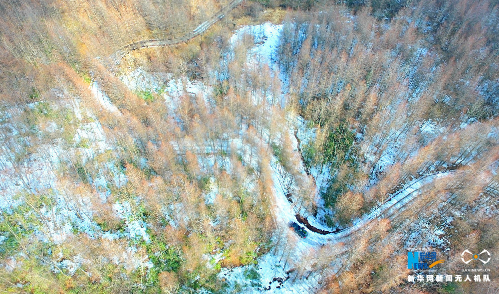 【渝情渝景】重慶貓兒背 冬季枯木遇上初春白雪