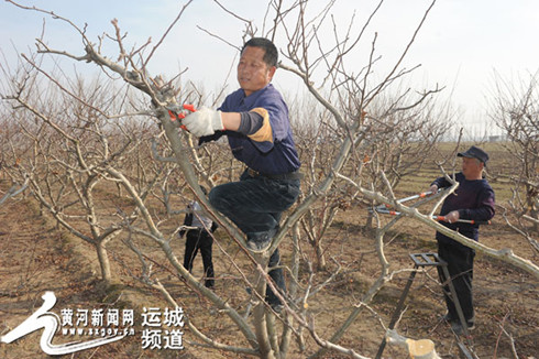 圖片默認標題_fororder_000b2f7743ea1bff198f06_副本