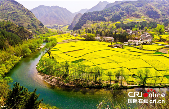 2018中國最美油菜花海漢中旅遊文化節于3月18日在勉縣啟動_fororder_2