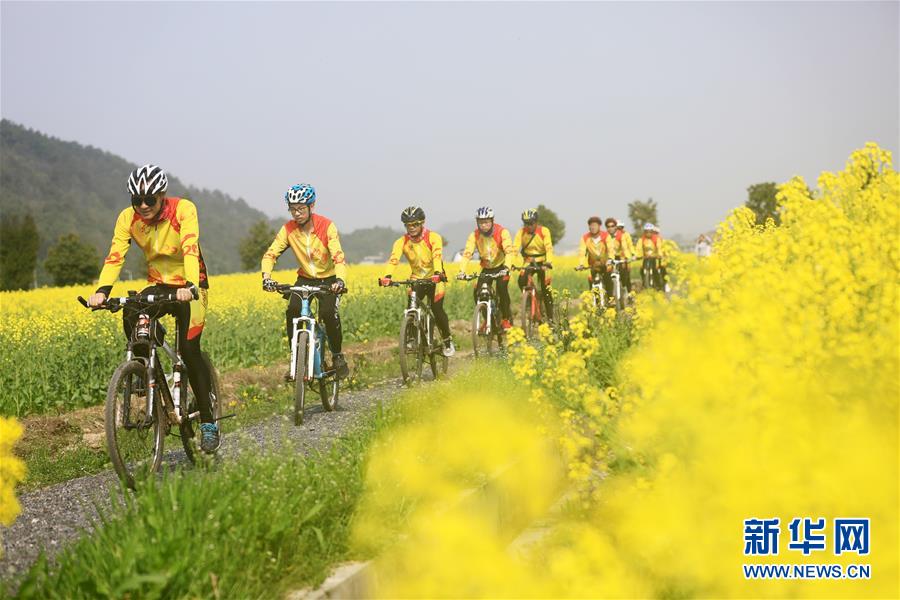 湖南衡陽：花開春意濃