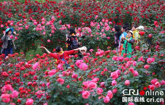 【CRI專稿 列表】“十二金釵”鄉村旅遊文化節將於3月31日在南川啟動