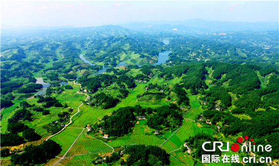 【CRI專稿 列表】“十二金釵”鄉村旅遊文化節將於3月31日在南川啟動