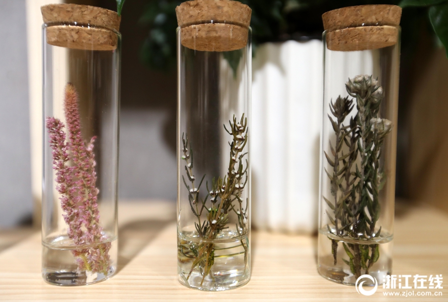 杭州舉辦女性手工藝作品展