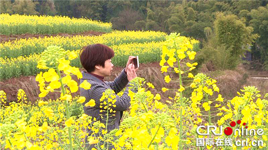 【區縣聯動】【大足】大足區回龍鎮：油菜花盛開裝扮靚麗回龍