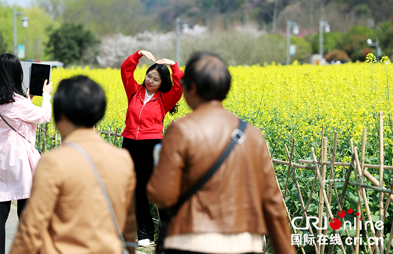 （已過審/旅遊/焦點圖）貴陽花溪十里河灘春意濃