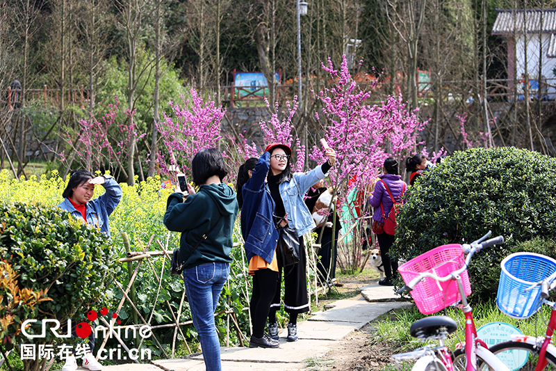 （已過審/旅遊/焦點圖）貴陽花溪十里河灘春意濃
