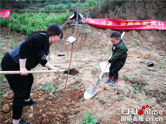 【CRI專稿 列表】重慶“紅櫻桃 春日植愛”志願行動：播種希望 為愛種植