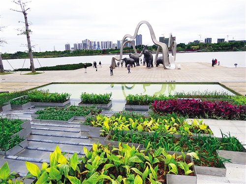 【焦點圖】南寧海綿城市三年試點建設基本完成 效果凸顯(圖)