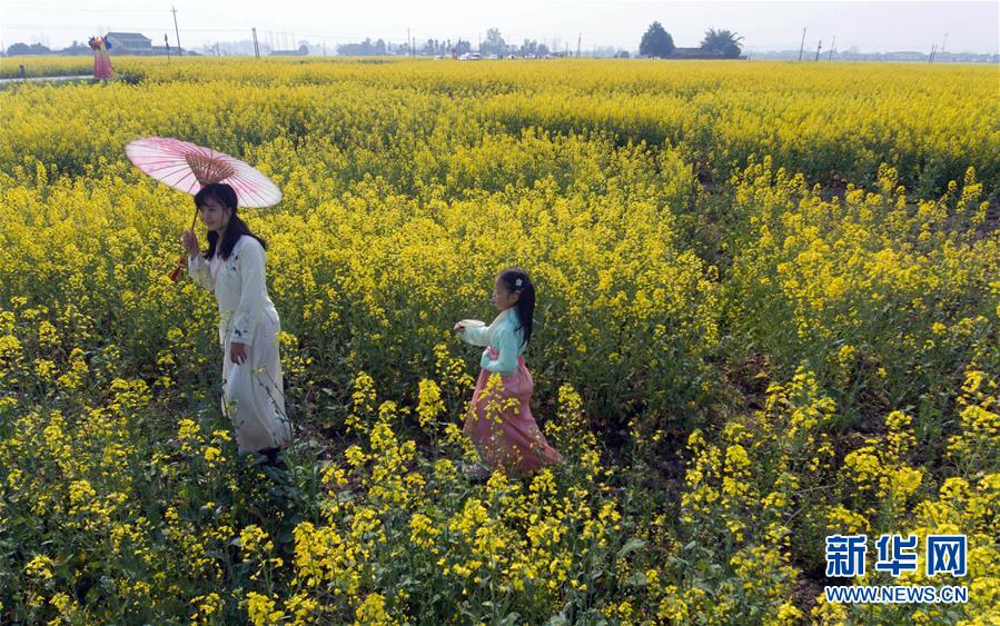 四川：以“花”為媒 實現鄉村振興