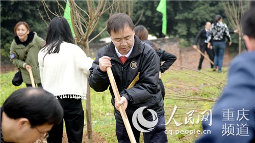 【聚焦重慶】重慶大學開展公益植樹活動 師生共建綠色校園