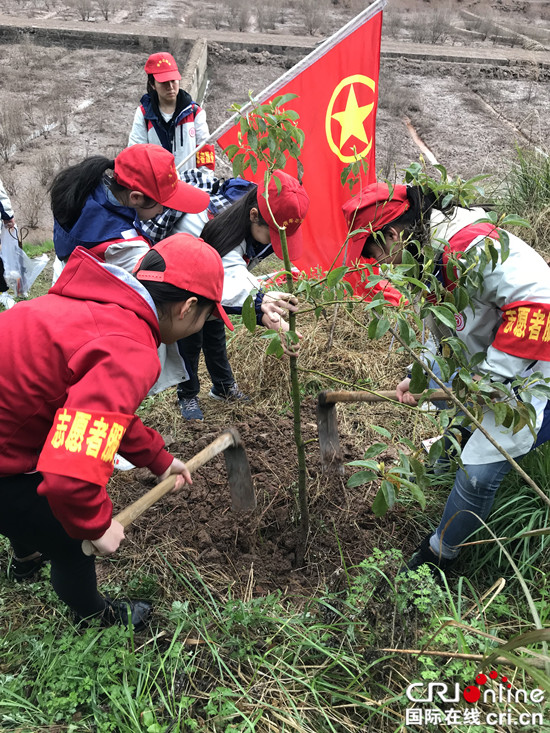 【社會民生】萬盛經開區各級關工委開展環保植樹活動