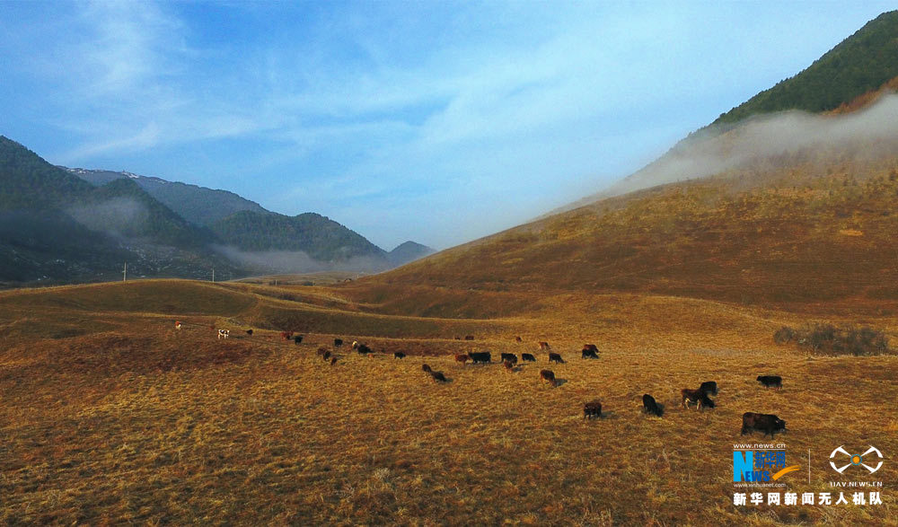 【渝情渝景】航拍重慶大官山 天然草場蒼茫遼闊